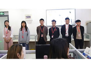 企業(yè)數(shù)字化突圍 山東鼎基信息技術(shù)打造臨沂網(wǎng)站建設(shè)與推廣新標(biāo)桿